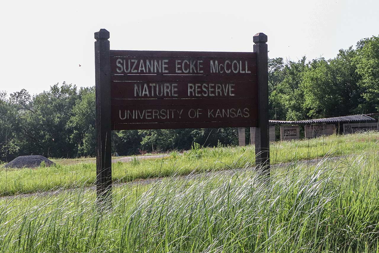 Suzanne Ecke McColl Nature Reserve and the Roth Trail