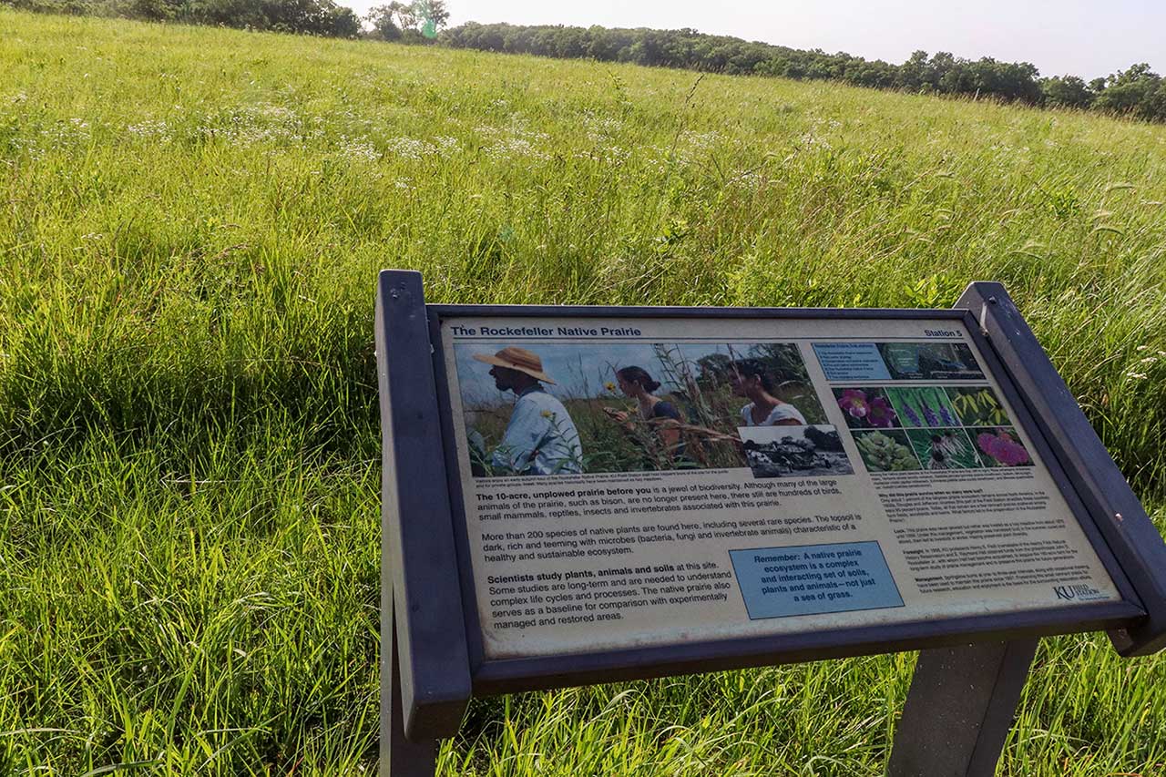 A sign about the native prairie along the Rockefeller Trail