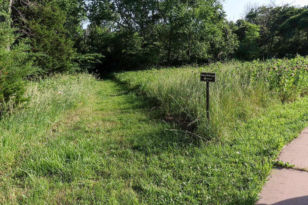 The Botany Bluff Trail