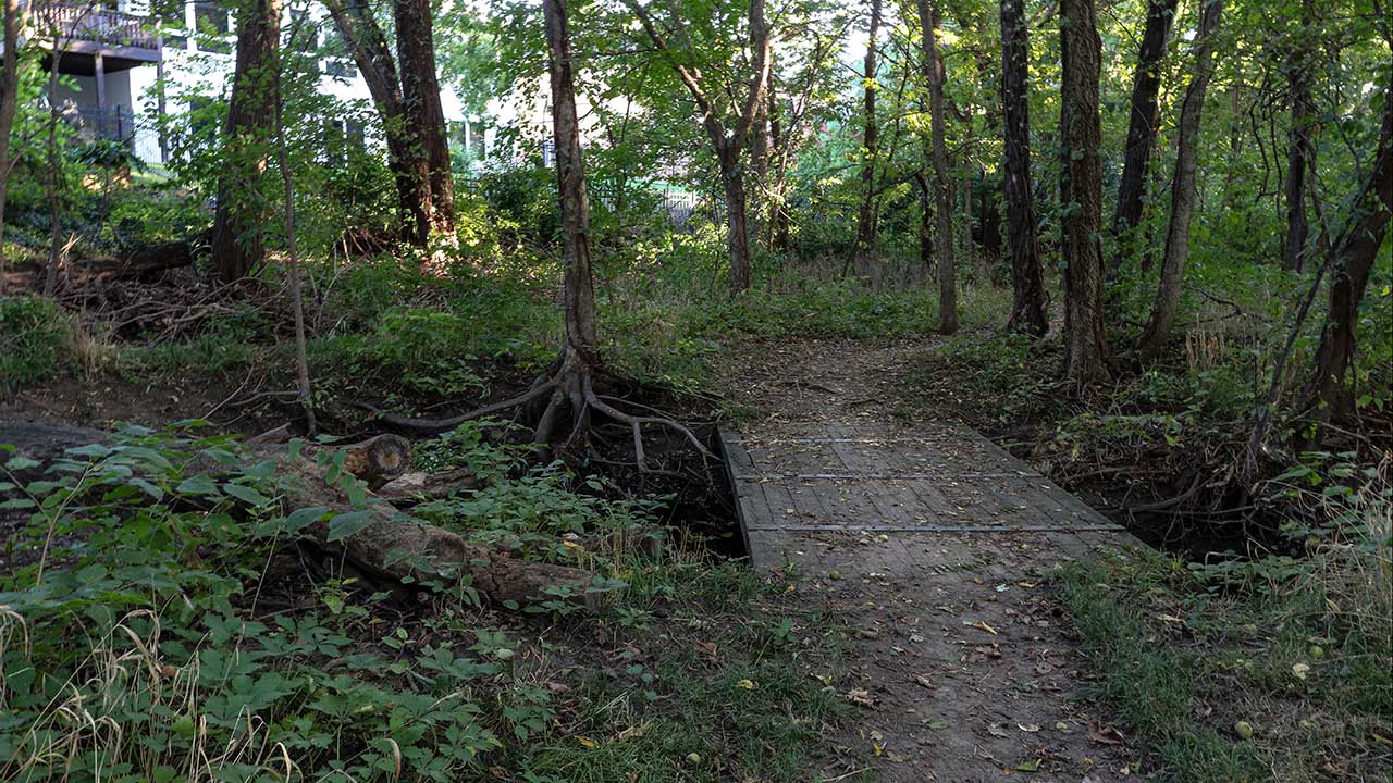 A bridge along the nature trail