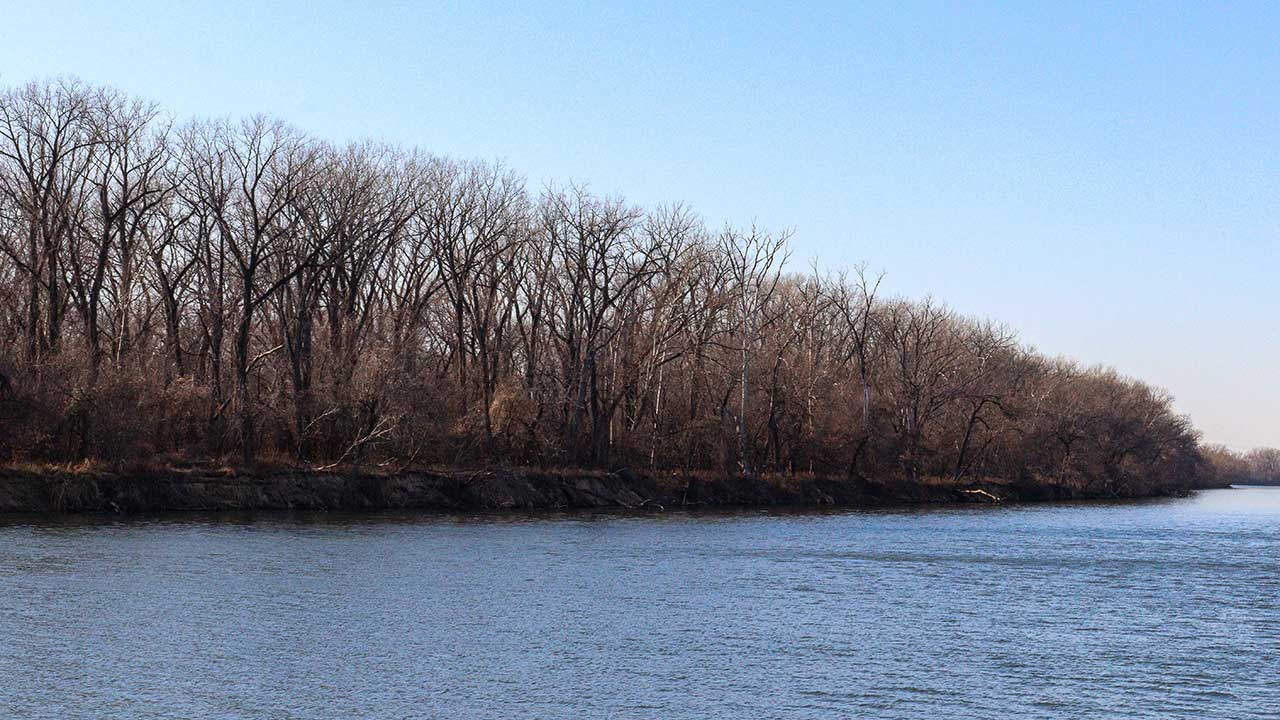 Trees along the Kansas River north of I-70