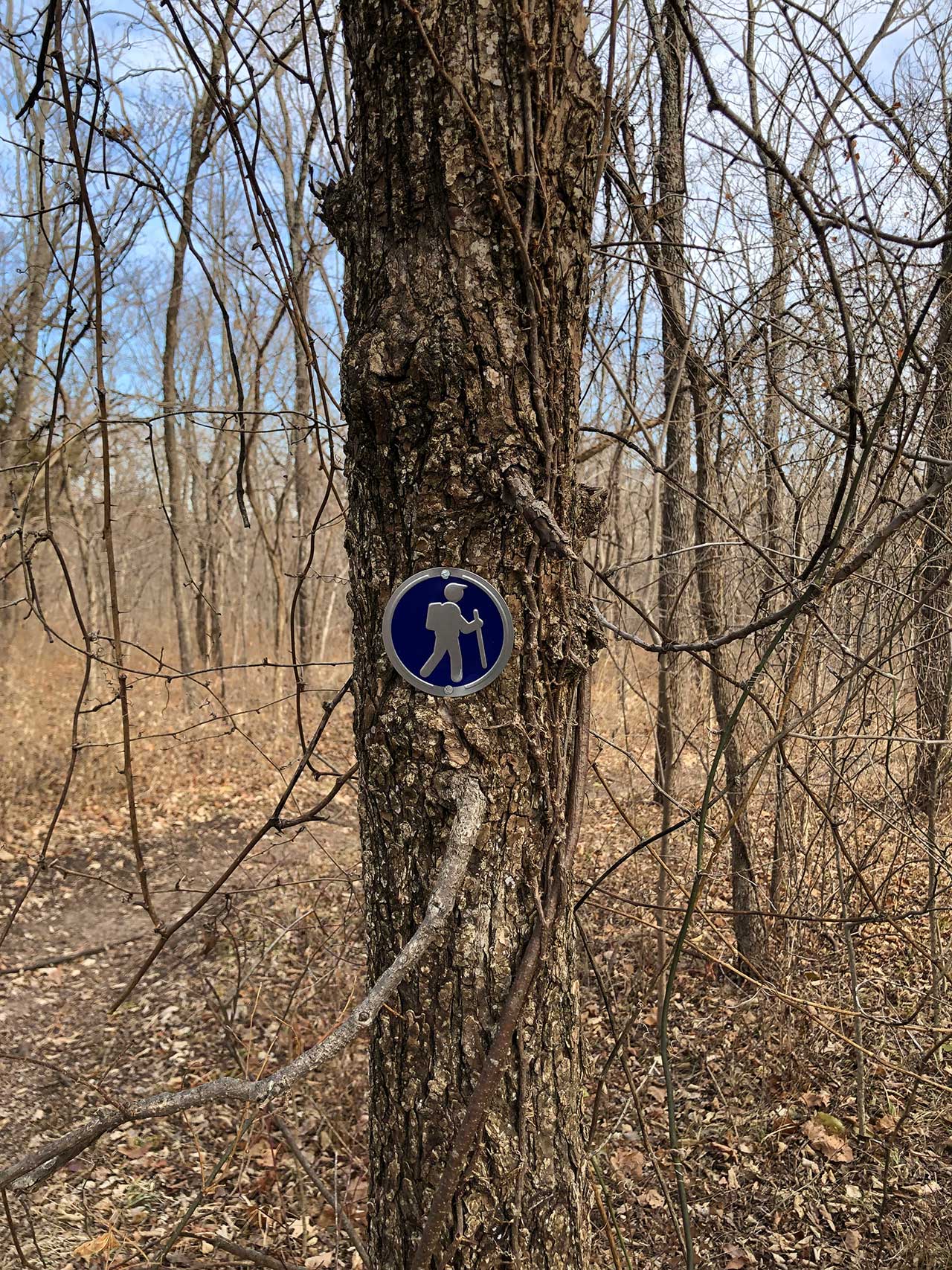 Trail marker