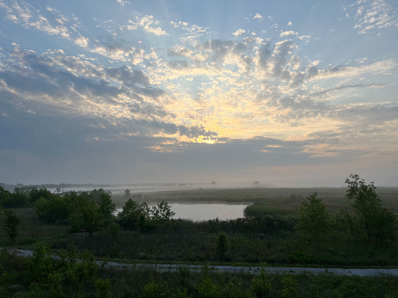 Sunrise and clouds at the wetlands