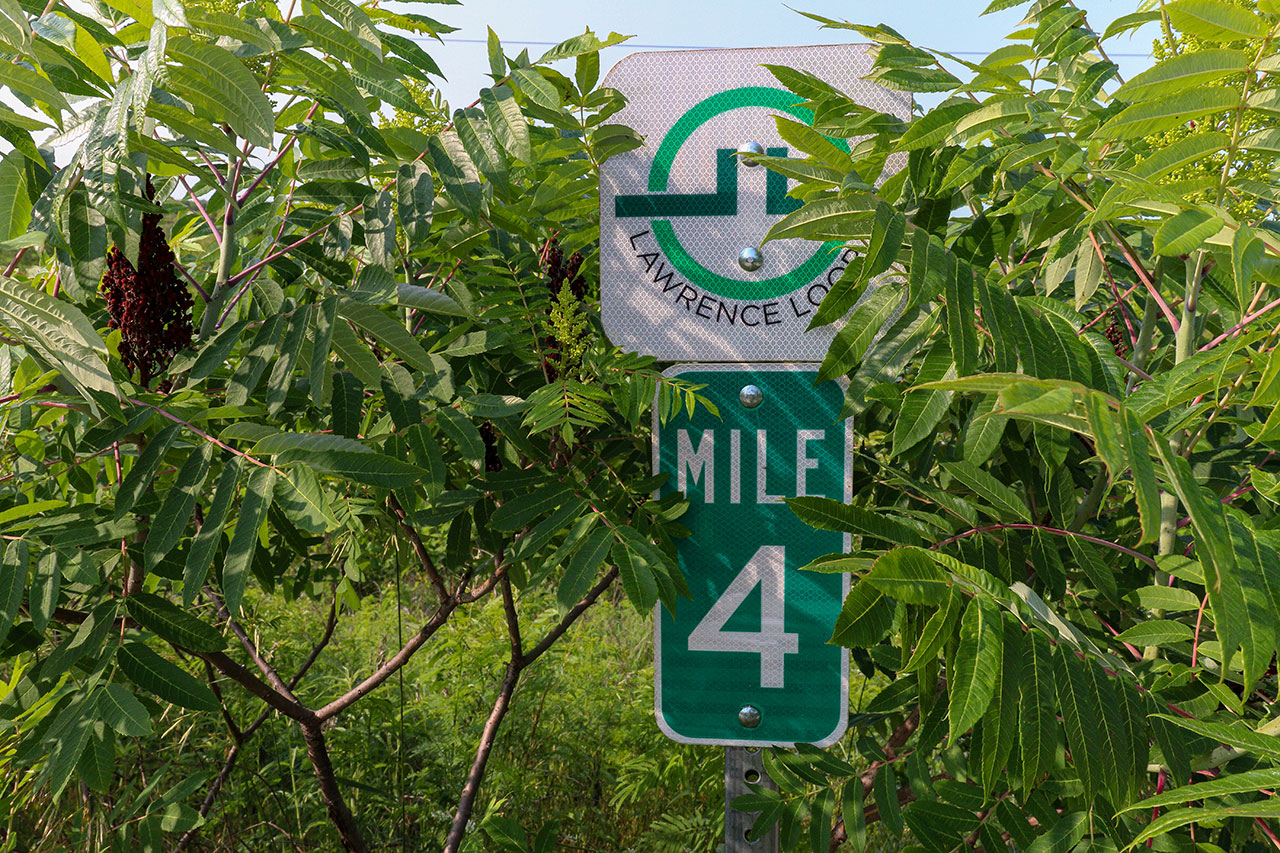 Mile marker 4 can be seen within bushes