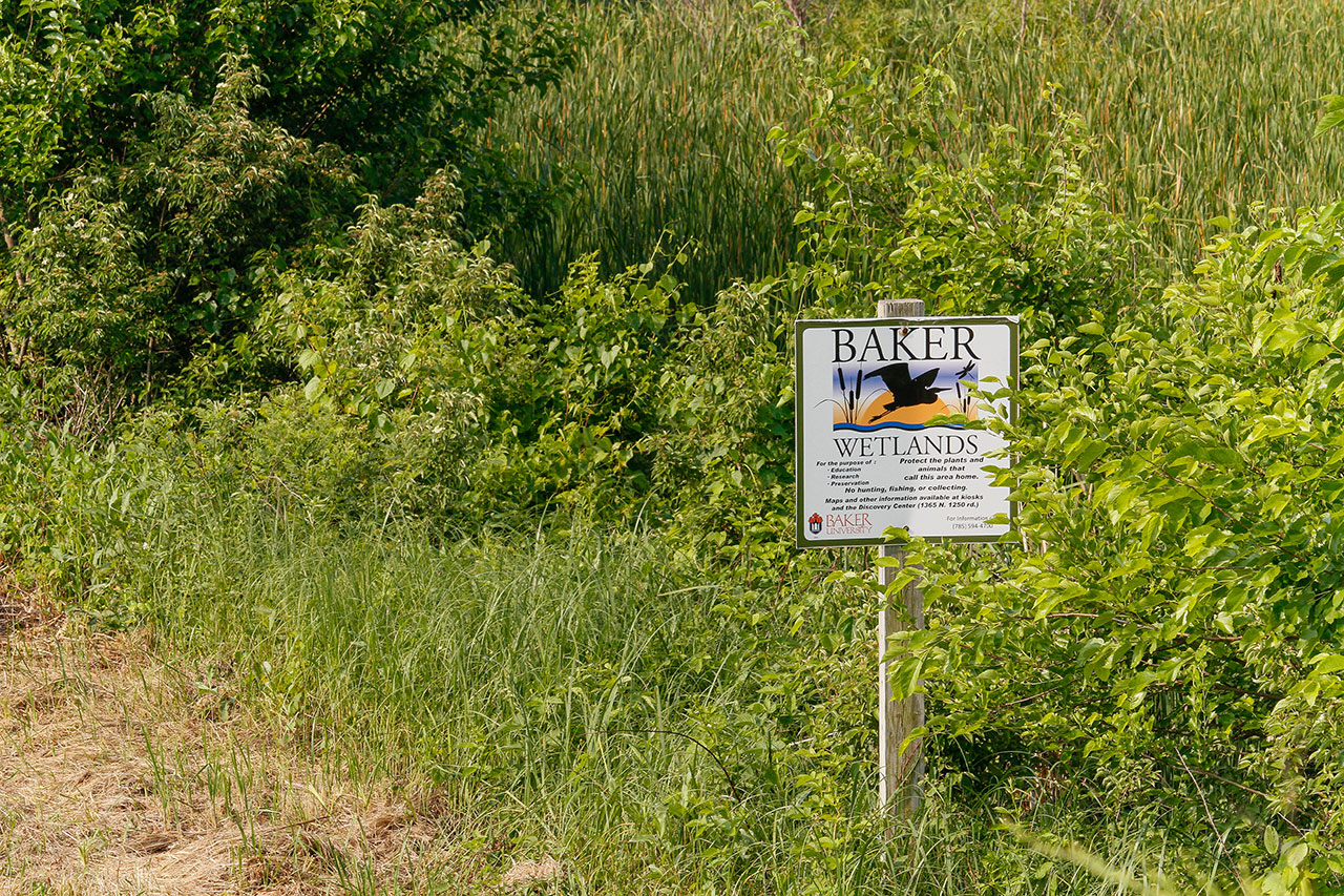 A Baker Wetlands sign along this section of the Loop