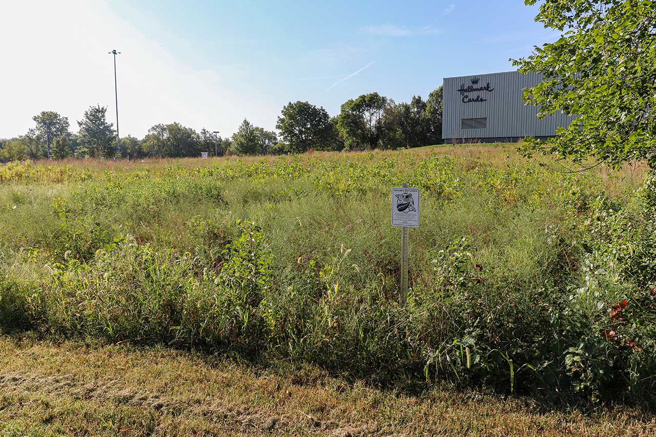 The trail goes north of the Hallmark production facility where a Monarch Butterfly Way Station has been planted