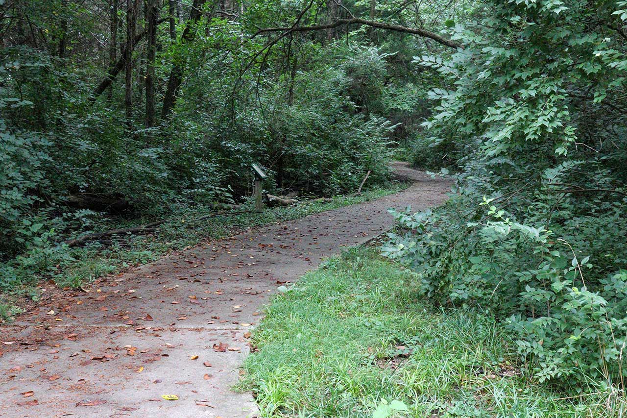 The trail menders through wooded areas