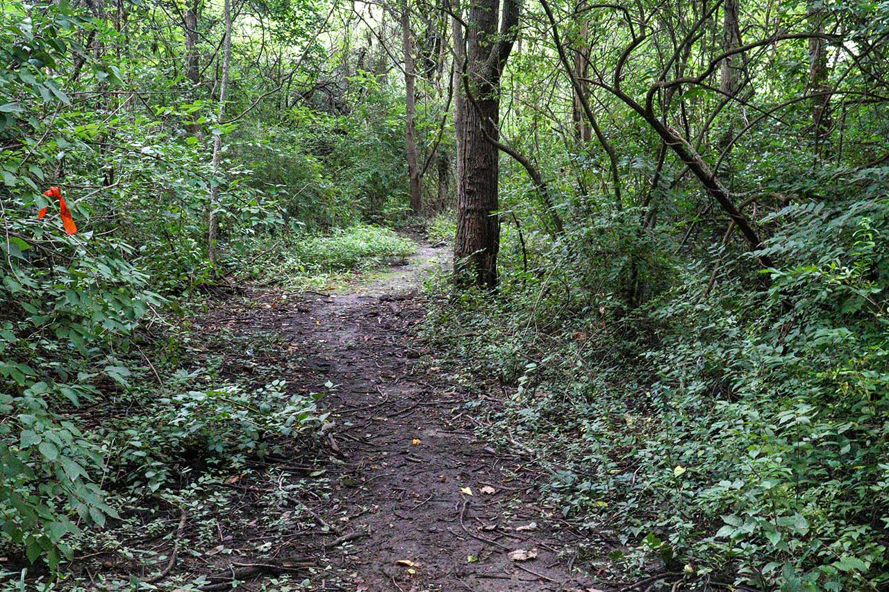 The Prairie Park Shortcut