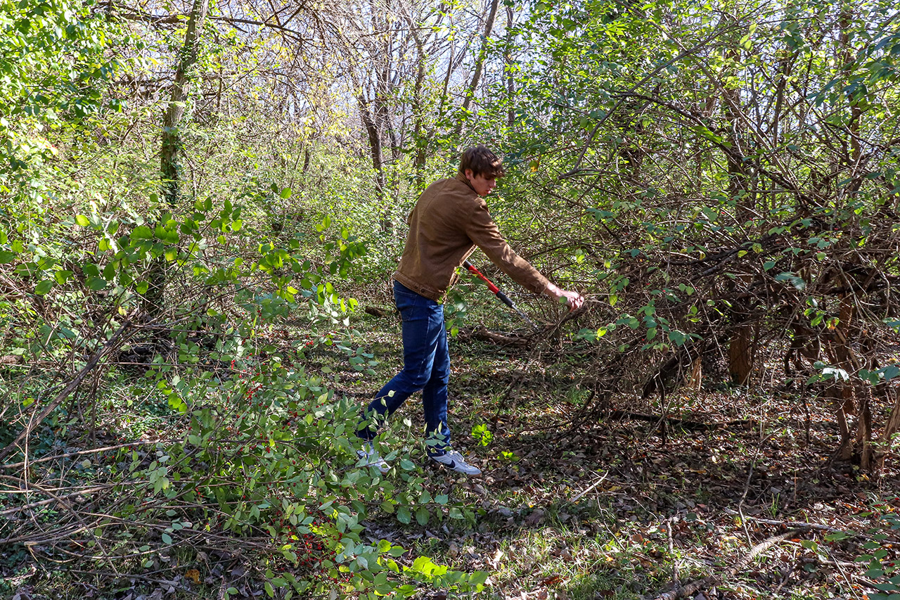 A student using nippers to clear the trail