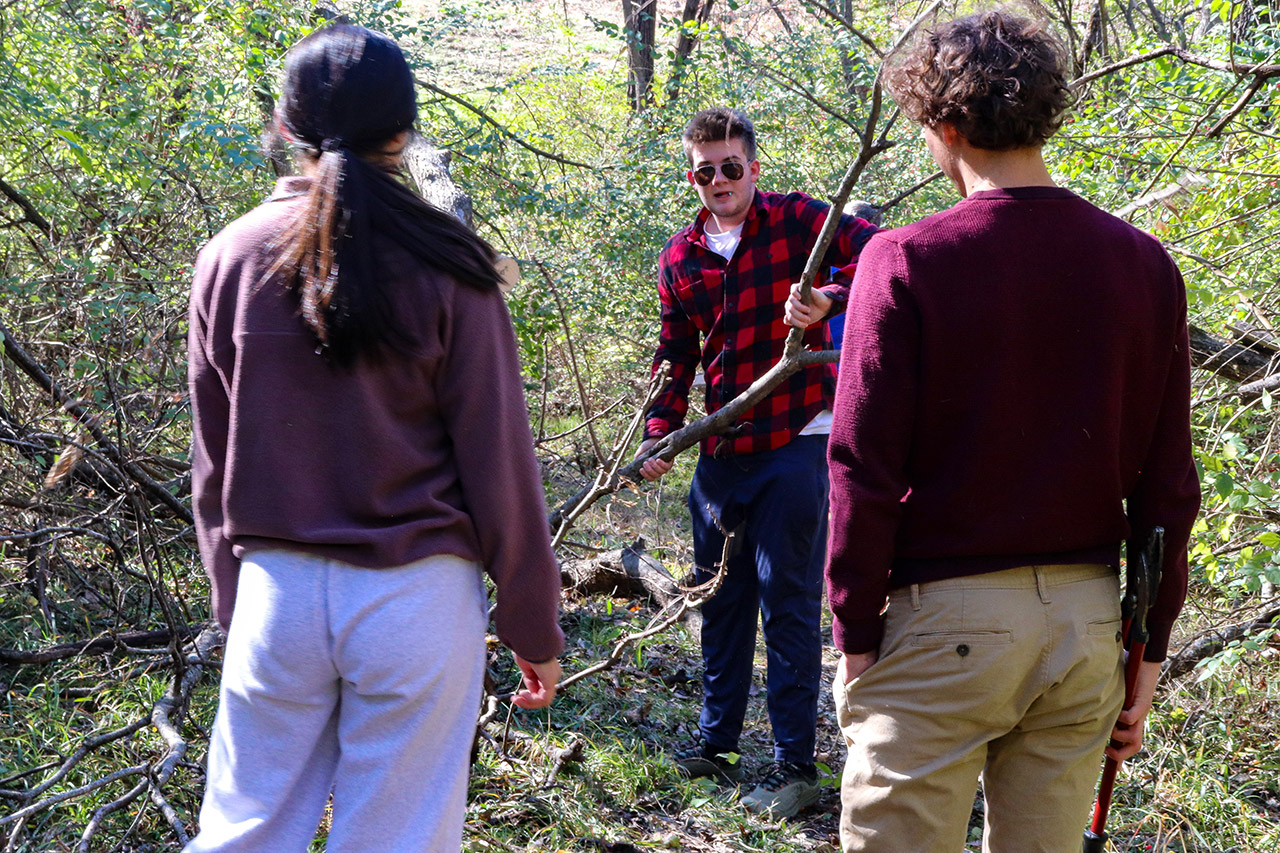 A student with a cut branch with other students ready to drag the branch away