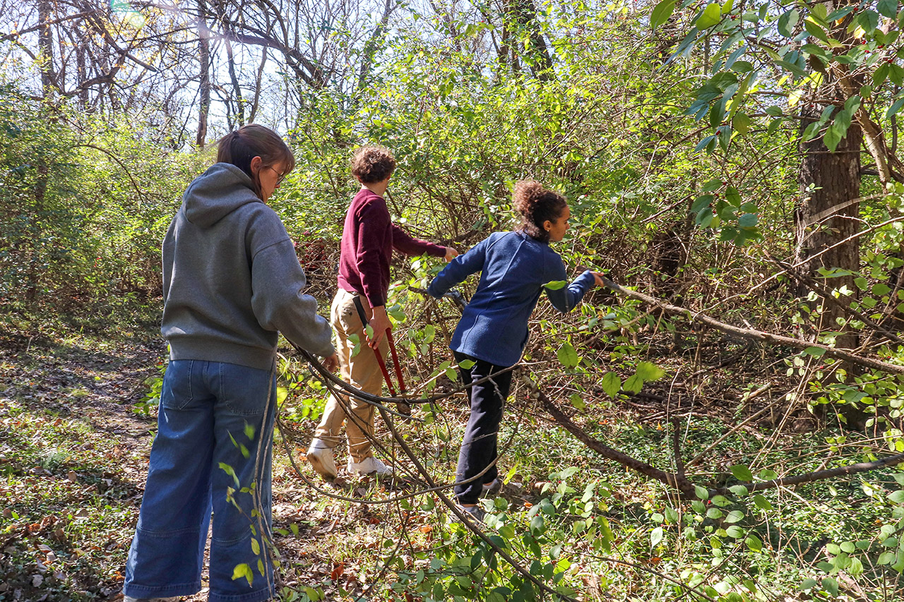 Students dragging brush