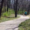 People and dogs walking on the heatherwood trail