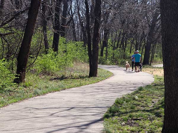 People and dogs walking on the heatherwood trail