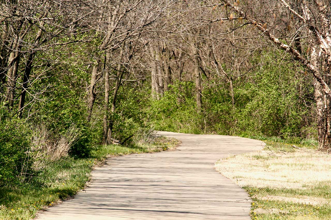 The trail passes through wooded areas