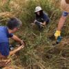 People working in the prairie