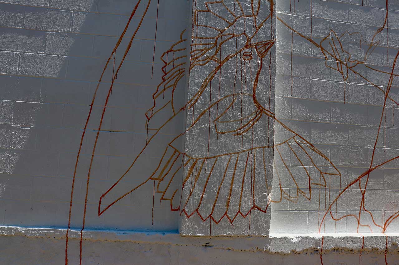 The bird portion of the tranfered wall