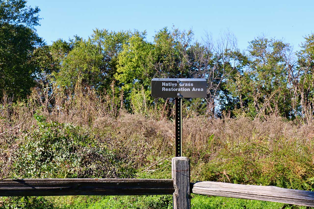 The north shore trail a Native Grass Restoration area
