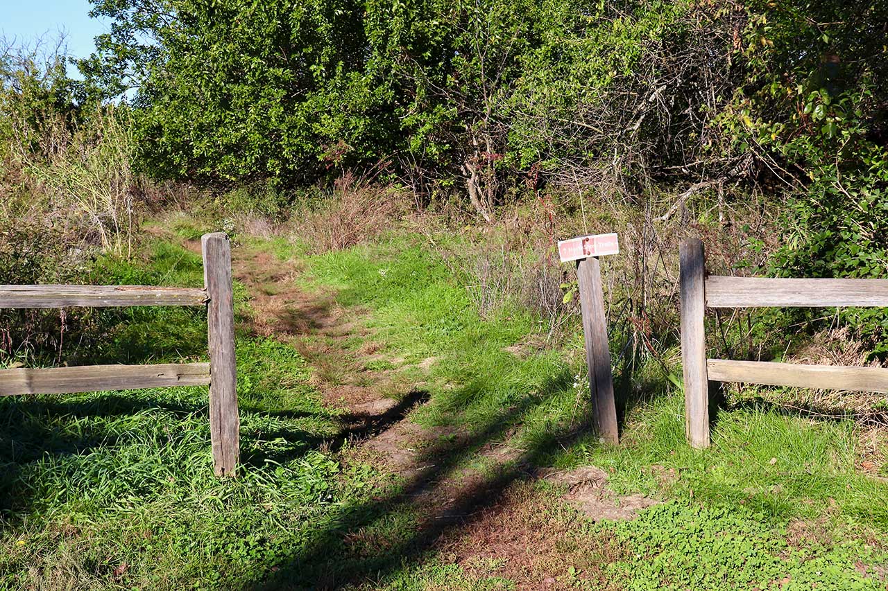 At the end of the pavement you can turn right onto the natural surface North Shore trail