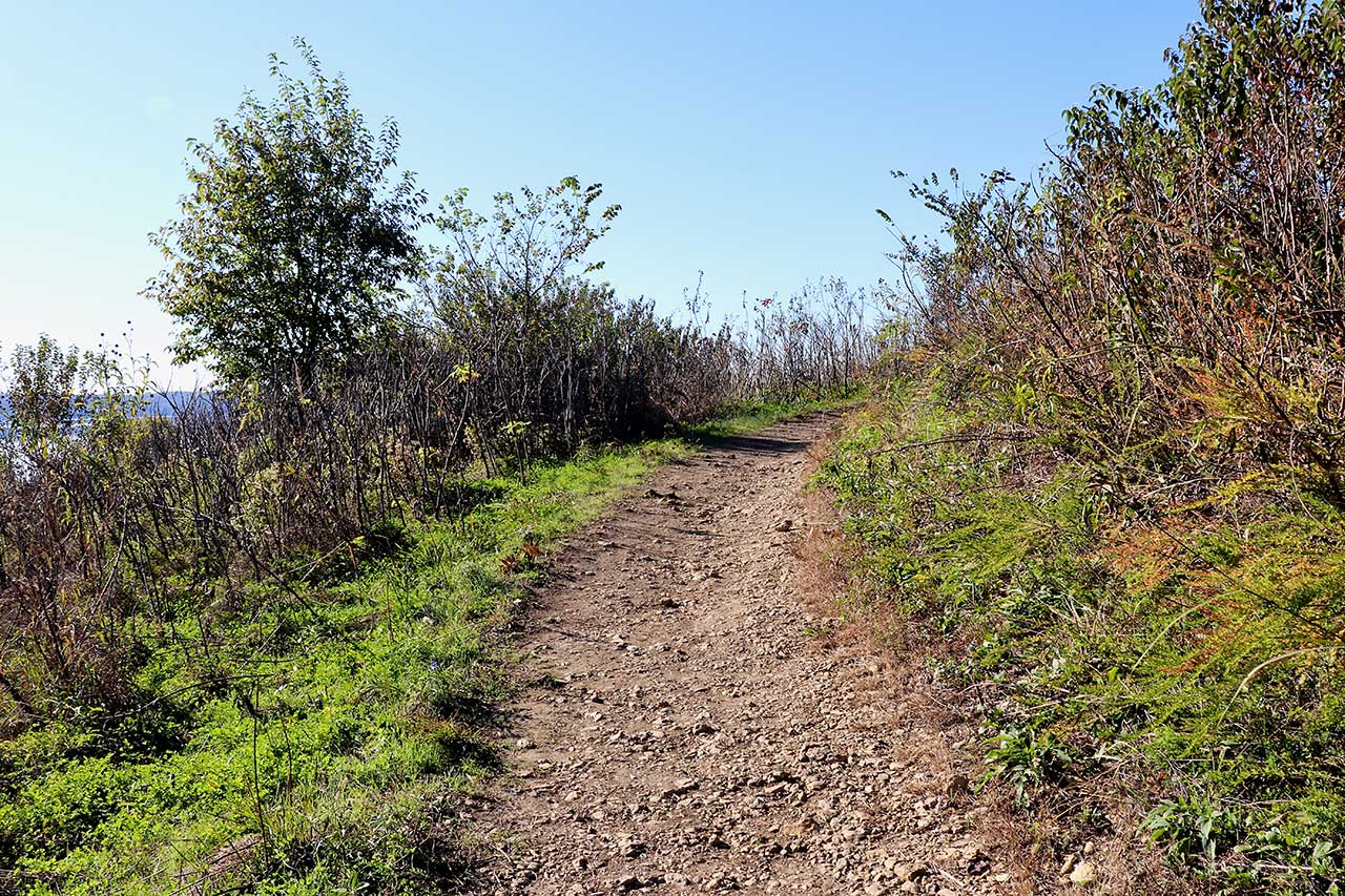 The path to the vista is a natural trail which is steep at times and rocky